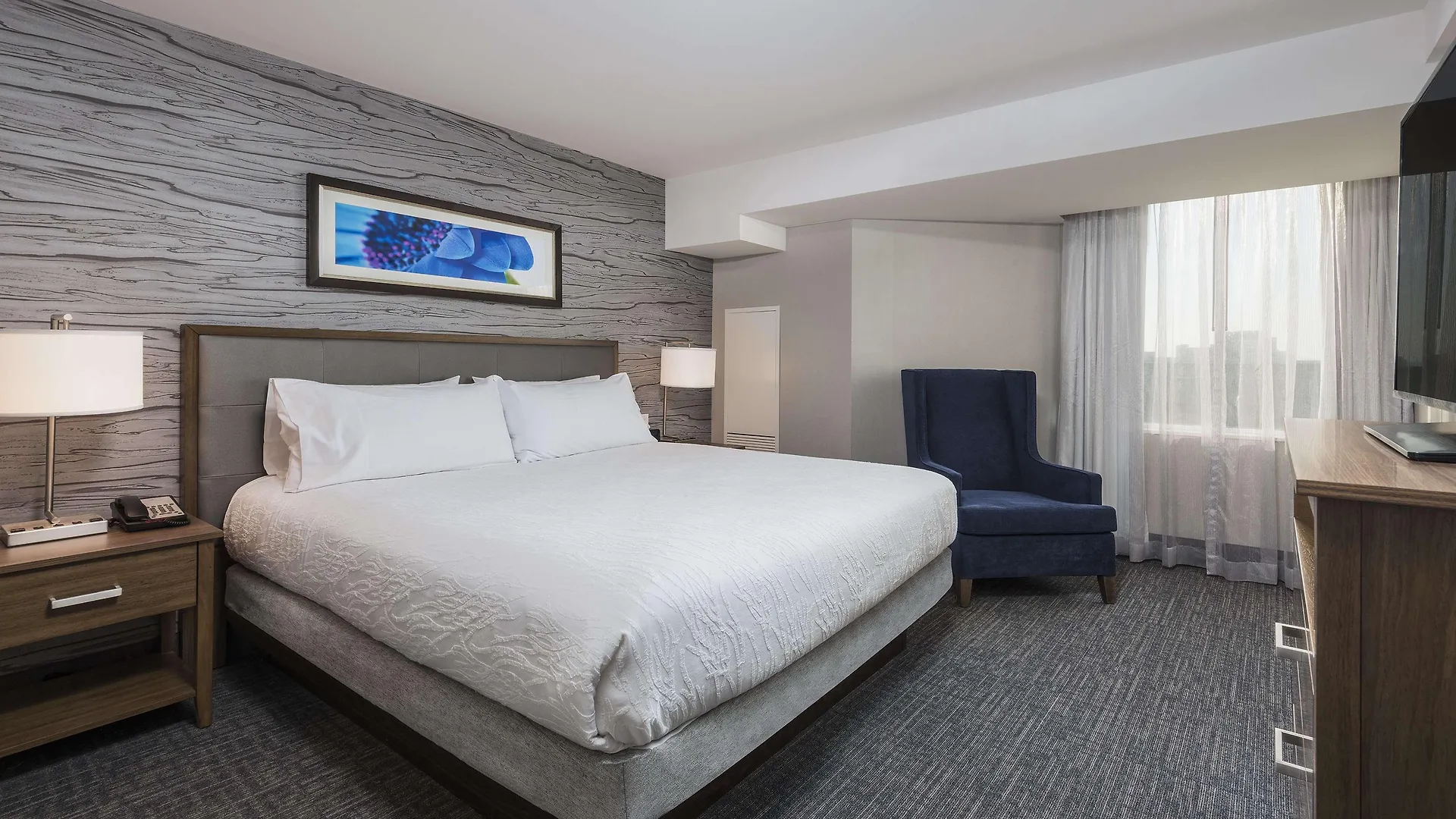 Hotel Homewood Suites By Hilton Ottawa Downtown